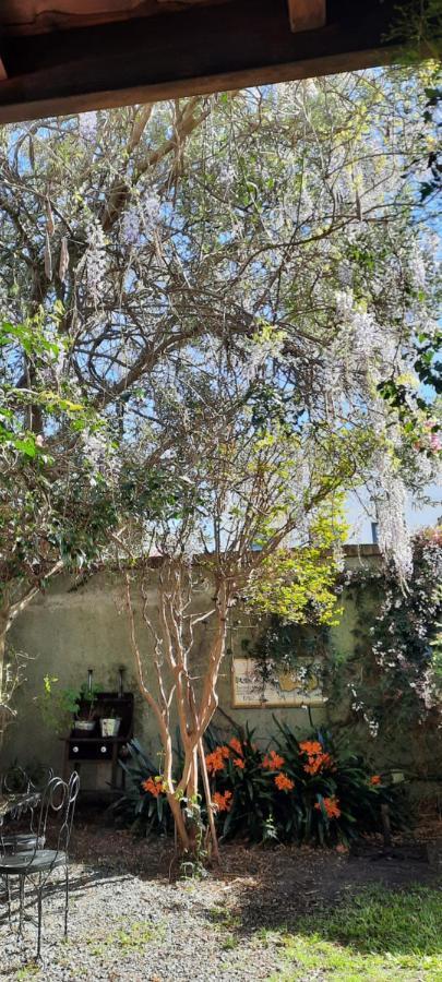 Casa En Barrio Historico Colonia del Sacramento Exterior photo